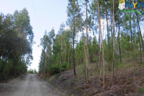 Helårsgrund i Serta, Castelo Branco, Serta - € 100.000 | Ref: AA44 - foto 14