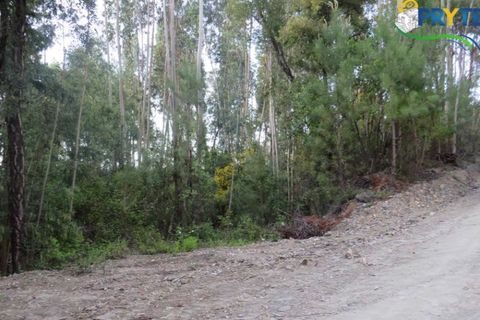 Helårsgrund i Serta, Castelo Branco, Serta - € 100.000 | Ref: AA44 - foto 16