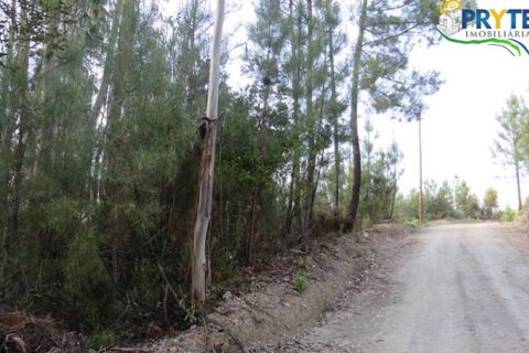 Helårsgrund i Serta, Castelo Branco, Serta - € 100.000 | Ref: AA44 - foto 18