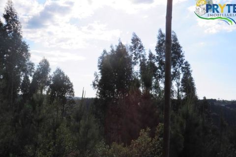 Helårsgrund i Serta, Castelo Branco, Serta - € 100.000 | Ref: AA44 - foto 23