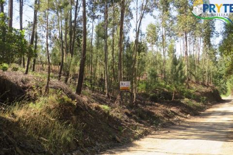 Helårsgrund i Serta, Castelo Branco, Serta - € 100.000 | Ref: AA44 - foto 36