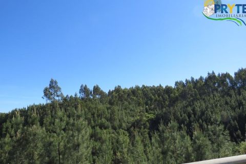 Helårsgrund i Serta, Castelo Branco, Serta - € 100.000 | Ref: AA44 - foto 39