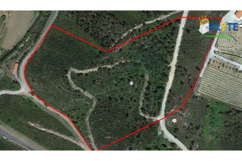 Helårsgrund i Serta, Castelo Branco, Serta - € 100.000 | Ref: AA44 - foto 40