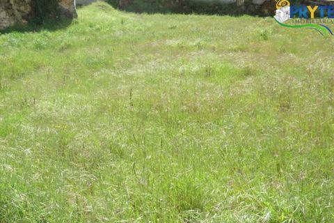 Helårsgrund i Serta, Castelo Branco, Serta - € 165.000 | Ref: AA38 - foto 6