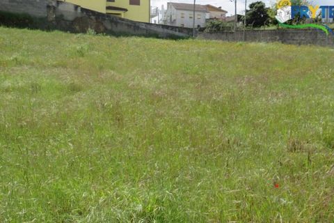 Helårsgrund i Serta, Castelo Branco, Serta - € 165.000 | Ref: AA38 - foto 8