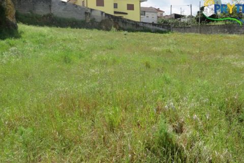 Helårsgrund i Serta, Castelo Branco, Serta - € 165.000 | Ref: AA38 - foto 10