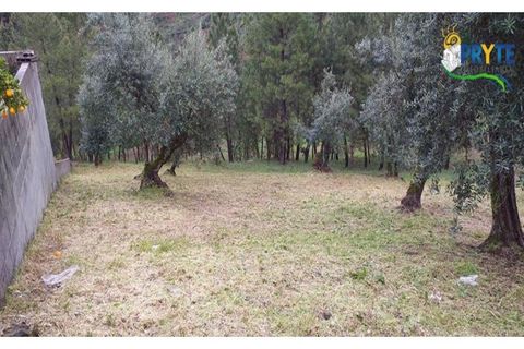 Helårsgrund i Serta, Castelo Branco, Serta - € 17.500 | Ref: MG60 - foto 1