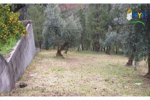 Helårsgrund i Serta, Castelo Branco, Serta - € 17.500 | Ref: MG60 - foto 7