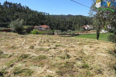 Helårsgrund i Serta, Castelo Branco, Serta - € 120.000 | Ref: MG51 - foto 6