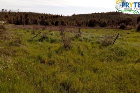 Helårsgrund i Macao, Santarem, Macao - € 16.000 | Ref: VF86 - foto 2