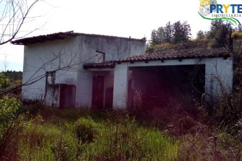 Helårsgrund i Macao, Santarem, Macao - € 16.000 | Ref: VF86 - foto 3