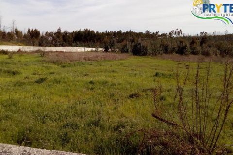 Helårsgrund i Macao, Santarem, Macao - € 16.000 | Ref: VF86 - foto 4