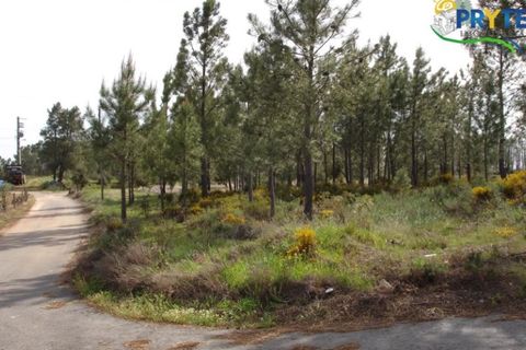 Helårsgrund i Macao, Santarem, Macao - € 16.000 | Ref: VF41 - foto 1