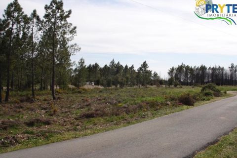 Helårsgrund i Macao, Santarem, Macao - € 16.000 | Ref: VF41 - foto 2