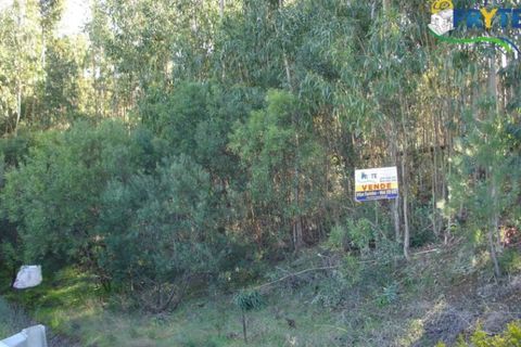 Helårsgrund i Serta, Castelo Branco, Serta - € 45.000 | Ref: VF06 - foto 2