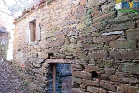 Ruinere i Serta, Castelo Branco, Serta - € 6.500 | Ref: AA13 - foto 4