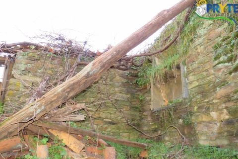 Ruinere i Serta, Castelo Branco, Serta - € 6.500 | Ref: AA13 - foto 6