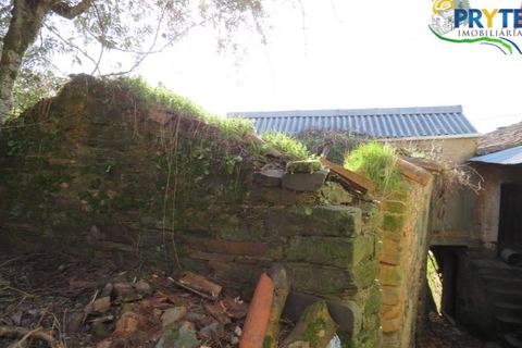 Ruinere i Serta, Castelo Branco, Serta - € 6.500 | Ref: AA13 - foto 7