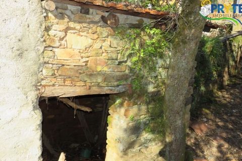 Ruinere i Serta, Castelo Branco, Serta - € 6.500 | Ref: AA13 - foto 8