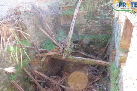 Ruinere i Serta, Castelo Branco, Serta - € 6.500 | Ref: AA13 - foto 9