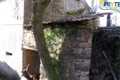 Ruinere i Serta, Castelo Branco, Serta - € 6.500 | Ref: AA13 - foto 12