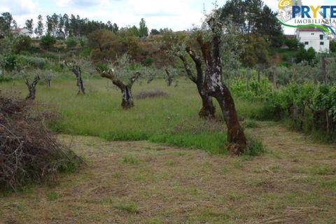 Landejendom i Cabecudo, Castelo Branco, Cabecudo - € 49.900 | Ref: VF14 - foto 1