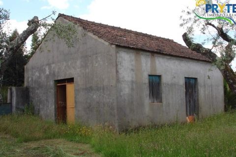 Landejendom i Cabecudo, Castelo Branco, Cabecudo - € 49.900 | Ref: VF14 - foto 2