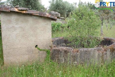 Landejendom i Cabecudo, Castelo Branco, Cabecudo - € 49.900 | Ref: VF14 - foto 3