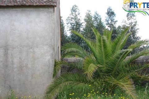 Landejendom i Cabecudo, Castelo Branco, Cabecudo - € 49.900 | Ref: VF14 - foto 4