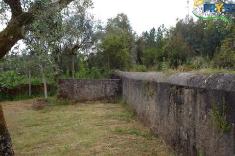 Landejendom i Cabecudo, Castelo Branco, Cabecudo - € 49.900 | Ref: VF14 - foto 7
