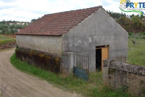 Landejendom i Cabecudo, Castelo Branco, Cabecudo - € 49.900 | Ref: VF14 - foto 8