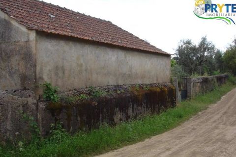 Landejendom i Cabecudo, Castelo Branco, Cabecudo - € 49.900 | Ref: VF14 - foto 9
