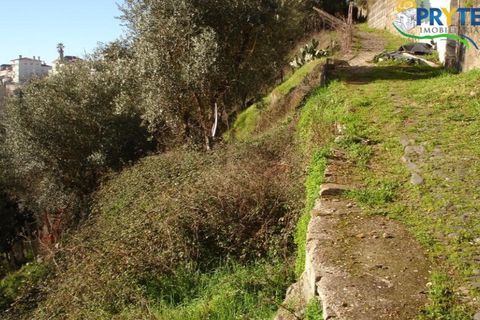 Helårsgrund i Serta, Castelo Branco, Serta - € 12.500 | Ref: VF55 - foto 3