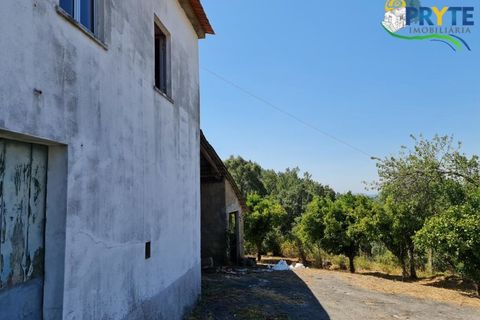Farm i Serta, Castelo Branco, Serta - € 55.000 | Ref: AS117 - foto 3