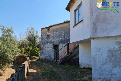 Farm i Serta, Castelo Branco, Serta - € 55.000 | Ref: AS117 - foto 4