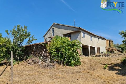 Farm i Serta, Castelo Branco, Serta - € 55.000 | Ref: AS117 - foto 5