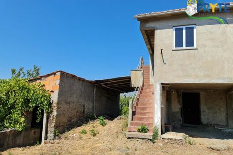 Farm i Serta, Castelo Branco, Serta - € 55.000 | Ref: AS117 - foto 6