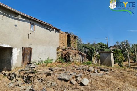Farm i Serta, Castelo Branco, Serta - € 55.000 | Ref: AS117 - foto 8
