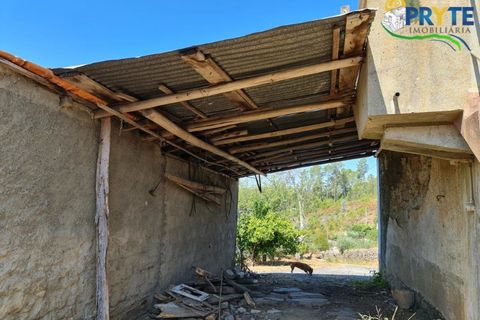 Farm i Serta, Castelo Branco, Serta - € 55.000 | Ref: AS117 - foto 9