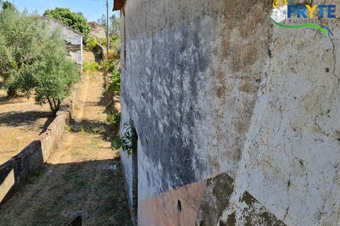Farm i Serta, Castelo Branco, Serta - € 55.000 | Ref: AS117 - foto 11