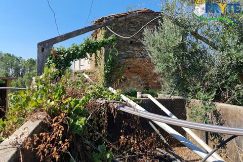 Farm i Serta, Castelo Branco, Serta - € 55.000 | Ref: AS117 - foto 12