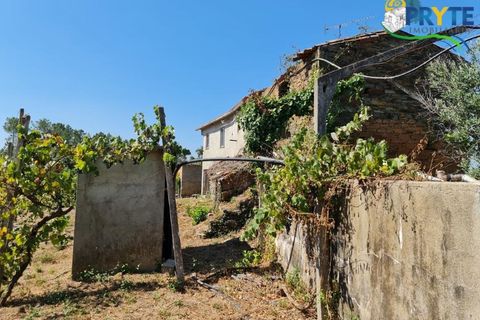 Farm i Serta, Castelo Branco, Serta - € 55.000 | Ref: AS117 - foto 13