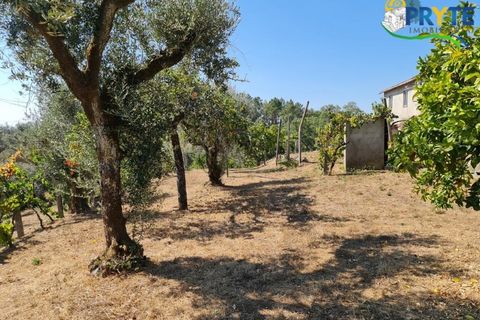 Farm i Serta, Castelo Branco, Serta - € 55.000 | Ref: AS117 - foto 14