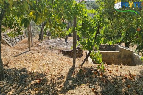 Farm i Serta, Castelo Branco, Serta - € 55.000 | Ref: AS117 - foto 16