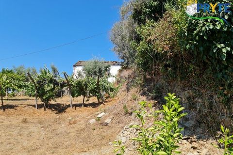Farm i Serta, Castelo Branco, Serta - € 55.000 | Ref: AS117 - foto 17