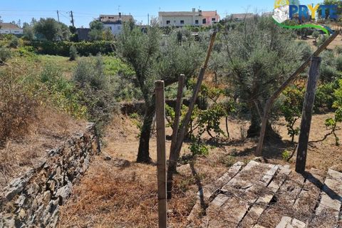 Farm i Serta, Castelo Branco, Serta - € 55.000 | Ref: AS117 - foto 18