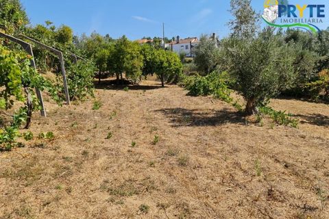 Farm i Serta, Castelo Branco, Serta - € 55.000 | Ref: AS117 - foto 19