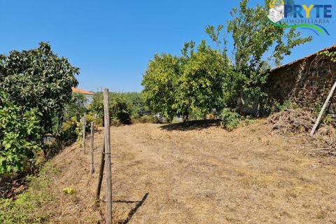 Farm i Serta, Castelo Branco, Serta - € 55.000 | Ref: AS117 - foto 22