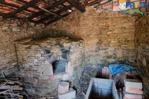 Farm i Serta, Castelo Branco, Serta - € 55.000 | Ref: AS117 - foto 23