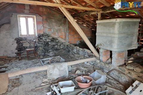 Farm i Serta, Castelo Branco, Serta - € 55.000 | Ref: AS117 - foto 34